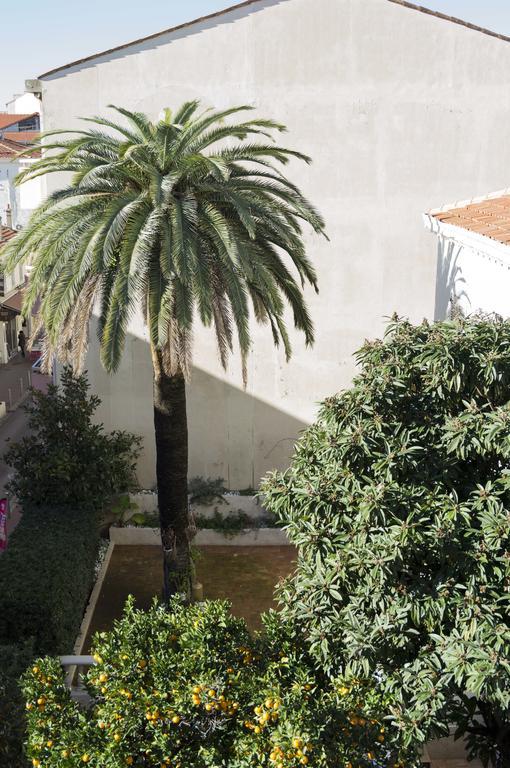 Appartement Cannes Rue Marceau Zimmer foto